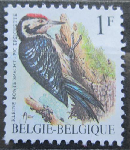 Poštová známka Belgicko 1990 Strakapoud malý Mi# 2401