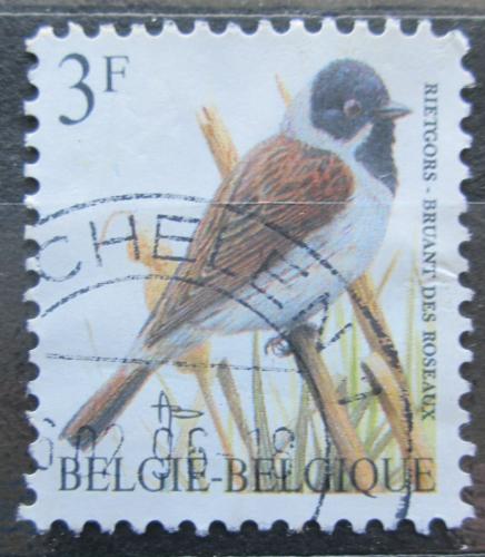 Poštová známka Belgicko 1991 Strnad rákosní Mi# 2477