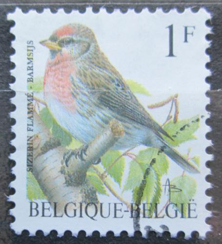 Poštová známka Belgicko 1992 Èeèetka zimní Mi# 2509