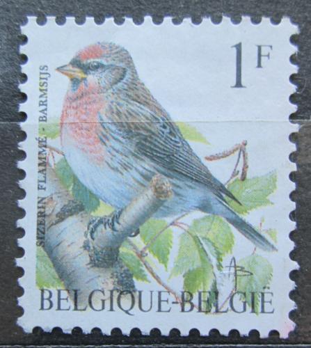 Poštová známka Belgicko 1992 Èeèetka zimní Mi# 2509