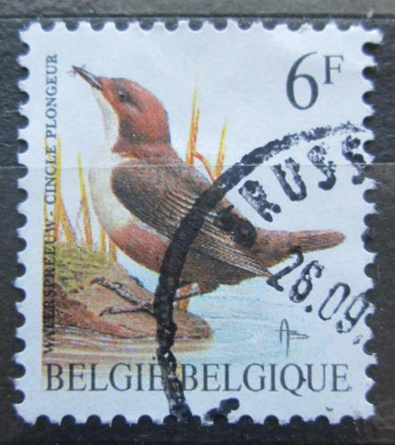 Poštová známka Belgicko 1992 Skorec vodní Mi# 2511