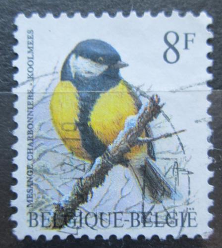 Poštová známka Belgicko 1992 Sýkora koòadra Mi# 2512