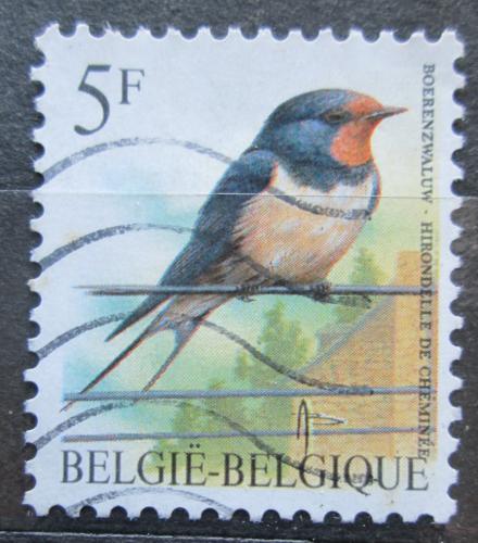 Poštová známka Belgicko 1992 Vlaštovka obecná Mi# 2527