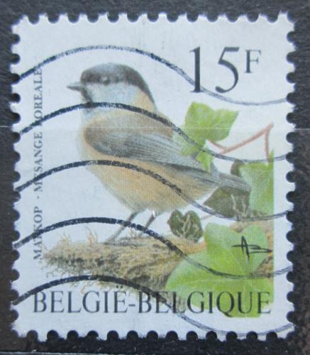 Poštová známka Belgicko 1997 Sýkora lužní Mi# 2747
