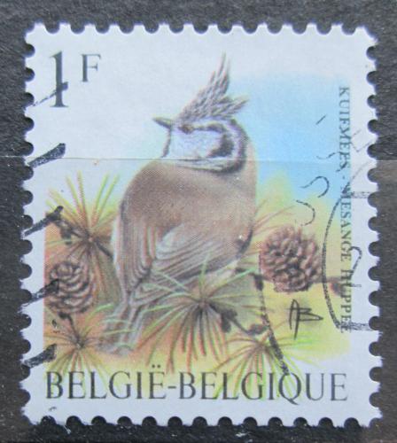 Poštová známka Belgicko 1998 Sýkora parukáøka Mi# 2809