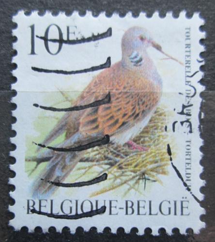 Poštová známka Belgicko 1998 Hrdlièka divoká Mi# 2833