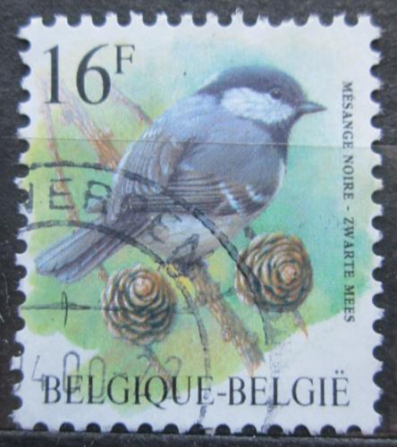Poštová známka Belgicko 1999 Sýkora uhelníèek Mi# 2856