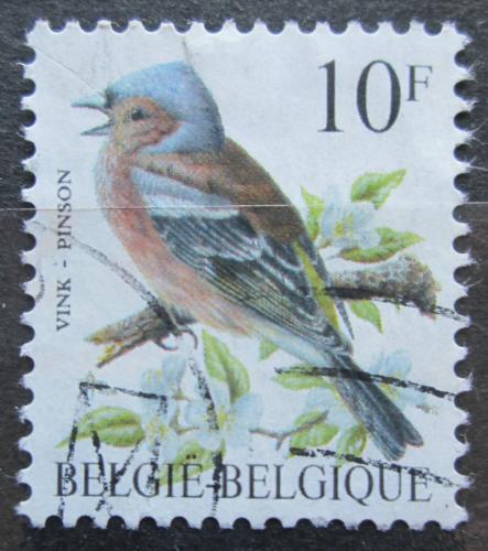 Poštová známka Belgicko 1990 Pìnkava obecná Mi# 2404