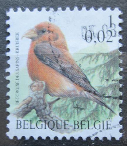 Poštová známka Belgicko 2000 Køivka obecná Mi# 2969 
