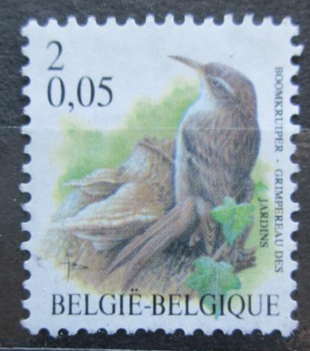 Poštová známka Belgicko 2000 Šoupálek krátkoprstý Mi# 2970