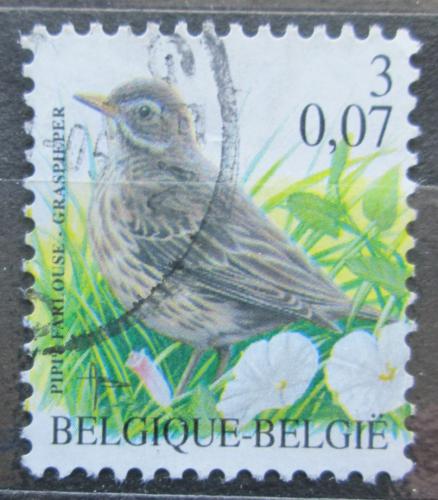 Poštová známka Belgicko 2000 Linduška luèní Mi# 2971