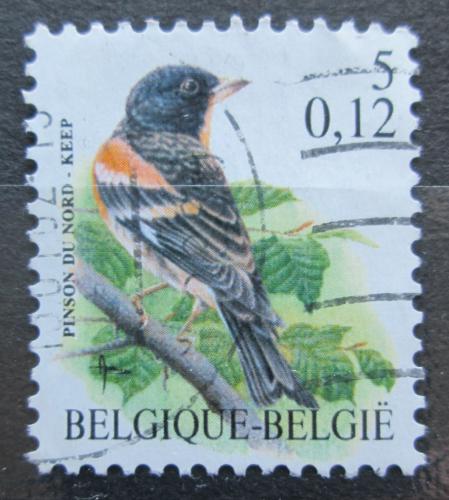 Poštová známka Belgicko 2000 Pìnkava jikavec Mi# 2972