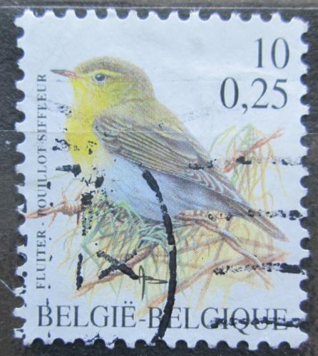 Poštová známka Belgicko 2000 Budníèek lesní Mi# 2988