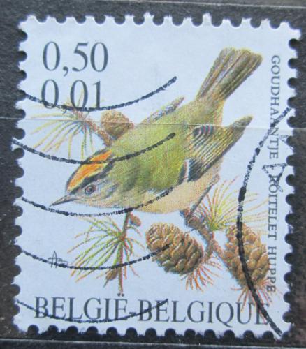 Poštová známka Belgicko 2001 Krá¾íèek obecný Mi# 3035