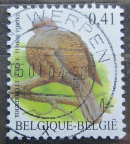 Poštová známka Belgicko 2002 Hrdlièka zahradní Mi# 3185