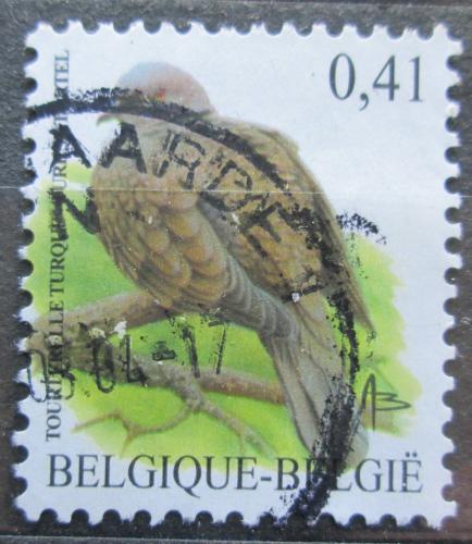 Poštová známka Belgicko 2002 Hrdlièka zahradní Mi# 3185