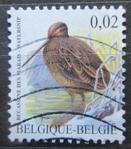 Poštová známka Belgicko 2004 Bekasina otavní Mi# 3251