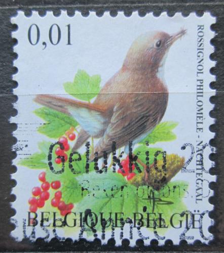 Poštovní známka Belgie 2004 Slavík obecný Mi# 3316