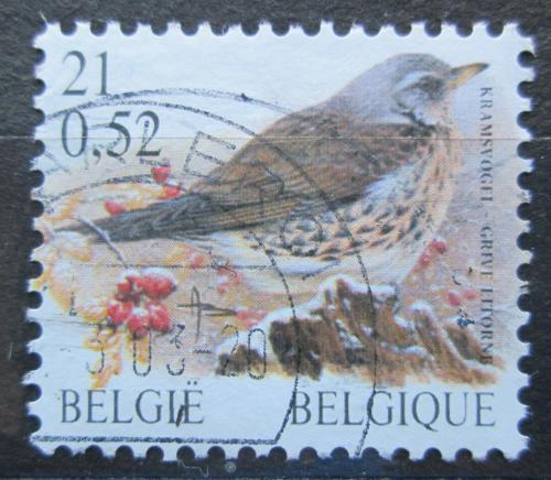 Poštová známka Belgicko 2001 Drozd kvíèala Mi# 3037