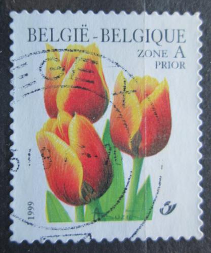 Poštová známka Belgicko 1999 Tulipány Mi# 2906