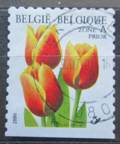 Poštová známka Belgicko 2000 Tulipány Mi# 2958 Du