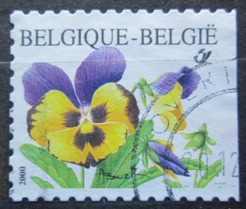 Poštová známka Belgicko 2000 Violka trojbarevná Mi# 2987 Dr