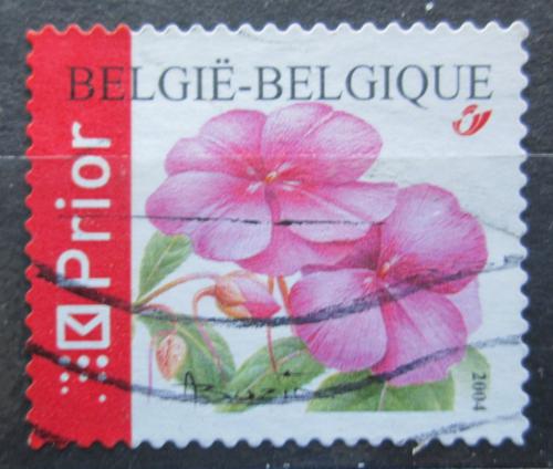Poštová známka Belgicko 2004 Impatiens chinensis Mi# 3367 A