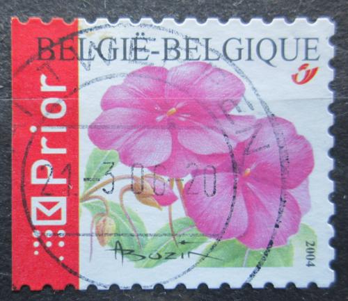 Poštová známka Belgicko 2004 Impatiens chinensis Mi# 3367 D
