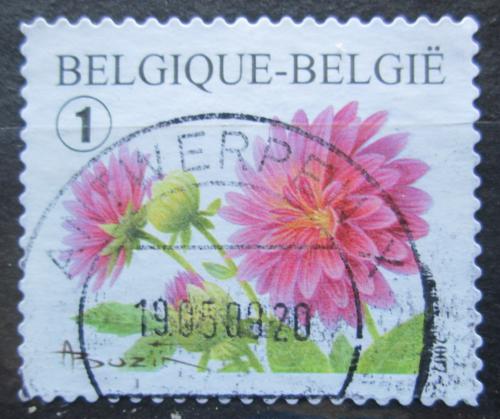Poštová známka Belgicko 2007 Jiøiny Mi# 3732 A