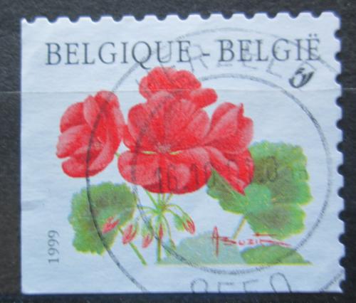 Poštová známka Belgicko 1999 Pelargonie „Matador“ Mi# 2902 II Dl