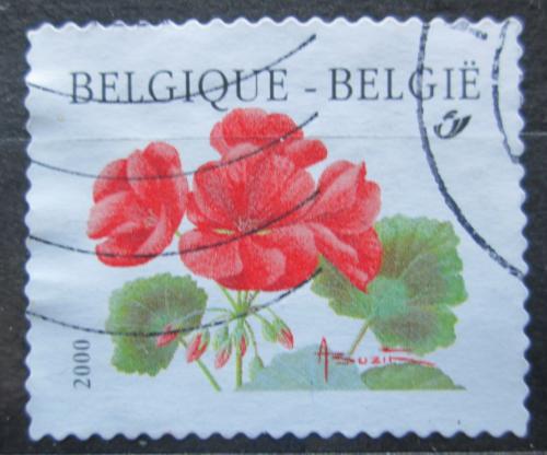 Poštová známka Belgicko 1999 Pelargonie „Matador“ Mi# 2902 I A