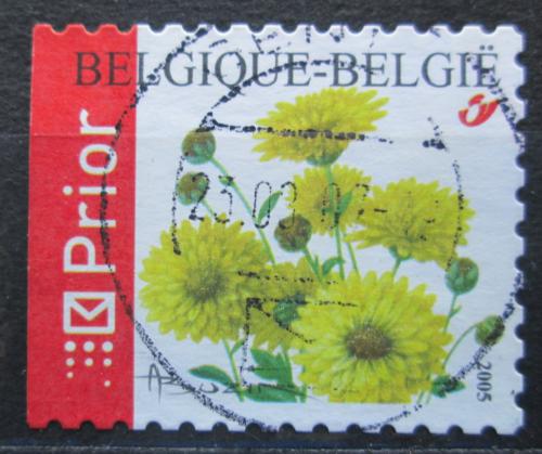 Poštová známka Belgicko 2005 Chryzantéma Mi# 3480 D