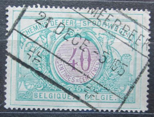 Poštová známka Belgicko 1902 Nominál, balíková Mi# 33
