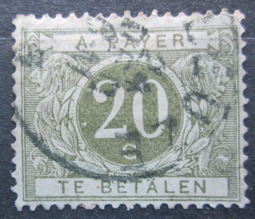 Poštová známka Belgicko 1895 Doplatná Mi# 5 I
