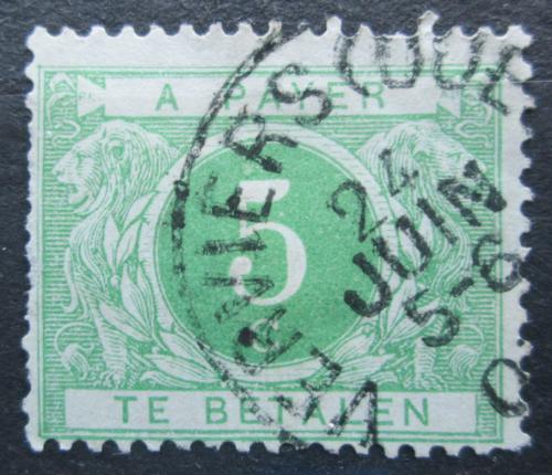 Poštová známka Belgicko 1895 Doplatná Mi# 3 Ia