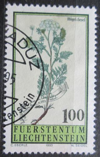 Poštová známka Lichtenštajnsko 1993 Sesel roèní Mi# 1071
