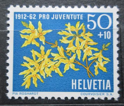 Poštová známka Švýcarsko 1962 Forsythia evropská Mi# 762