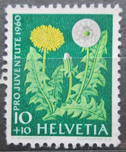 Poštová známka Švýcarsko 1960 Pampeliška smetánka Mi# 723