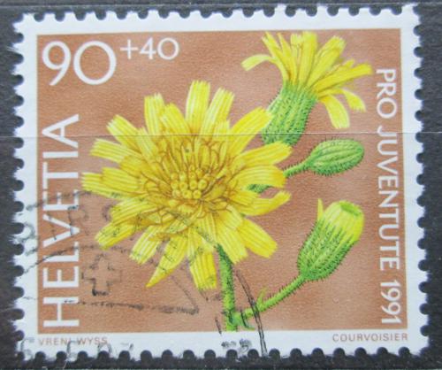 Poštová známka Švýcarsko 1991 Jestøábník zední Mi# 1458