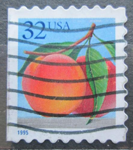 Poštová známka USA 1995 Broskev Mi# 2603 BD
