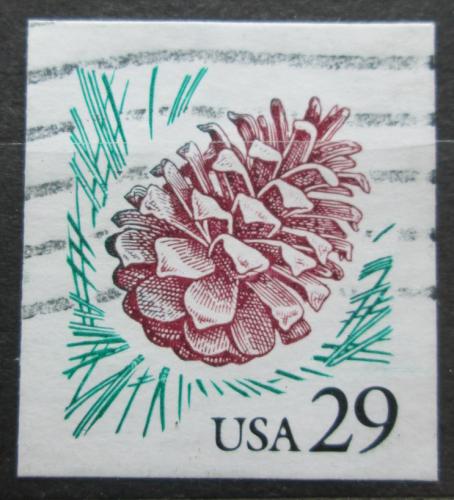 Poštová známka USA 1993 Šiška borovice Mi# 2424