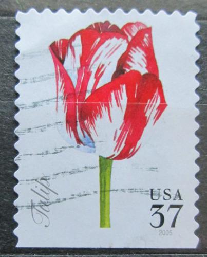 Potov znmka USA 2005 Tulipn Mi# 3919 BD