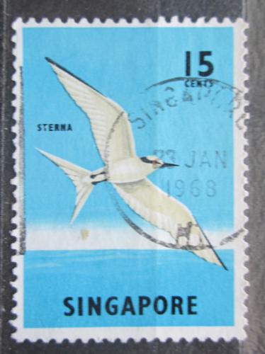 Potov znmka Singapur 1966 Rybk blotemenn Mi# 61 - zvi obrzok