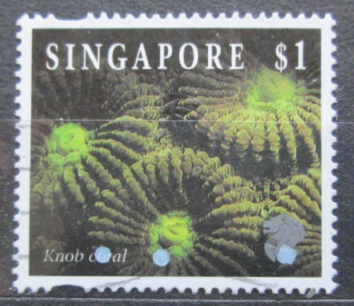 Poštová známka Singapur 1996 Favia speciosa Mi# 720 II