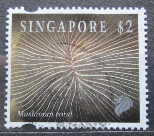 Poštová známka Singapur 1994 Fungia repanda Mi# 721 I Kat 4.80€
