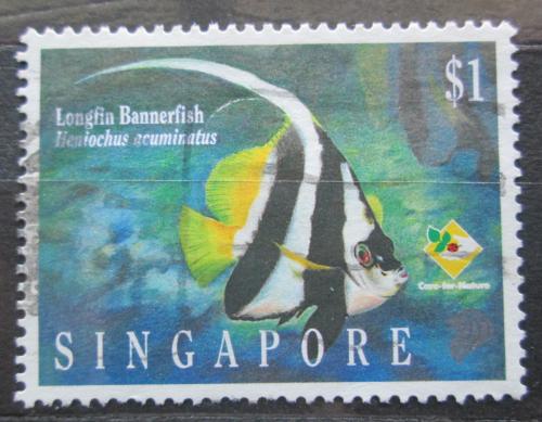 Poštová známka Singapur 1995 Klipka hrotcová Mi# 774