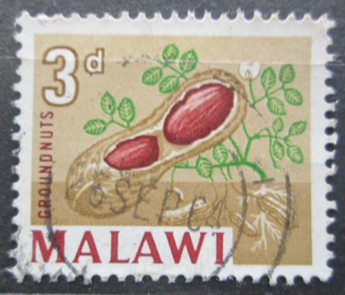 Poštová známka Malawi 1964 Podzemnice olejná Mi# 4
