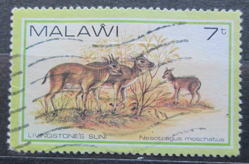 Potov znmka Malawi 1981 Antilopka pimov Mi# 356 - zvi obrzok