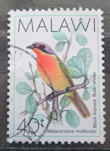 Poštová známka Malawi 1988 �uhýkovec èernoèelý Mi# 510