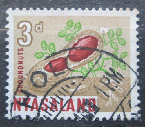 Poštová známka Òasko, Malawi 1964 Podzemnice olejná Mi# 128